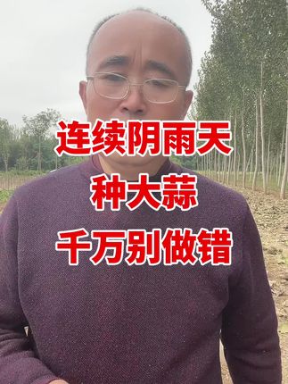 #大蒜种植#大蒜种植技术 #大蒜高产 #大蒜增产 #大蒜叶面肥