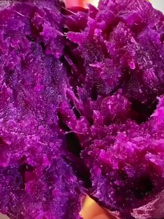沙地紫薯软糯香甜而且无丝,蒸着或者烤着吃都很香!#紫薯# #红薯# #优质农产品# #软糯香甜的 #太好吃了