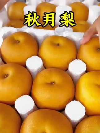 秋月梨,梨界中的天花板,皮薄如纸,脆甜多汁,入口化渣,太好吃了,喜欢吃水果的不要错过!#秋月梨 #新鲜应季水果 #优质农产品 #脆甜多汁 #口感特别好