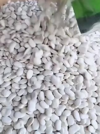#白芸豆#粗粮#好吃不贵经济实惠 #产地直发 #助农
