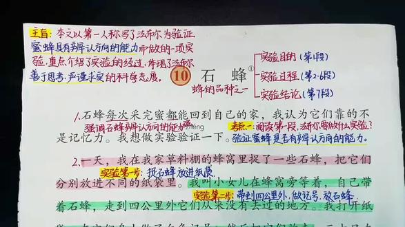 三下第10课《石蜂》重点梳理 课后习题一定要理解记忆#手写知识点总结 #手写笔记 #三下语文