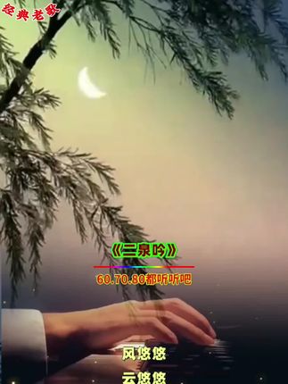 夜深人静,一曲《二泉吟》如泣如诉,抚慰心灵🌙🎶 #音乐治愈时刻 #经典旋律