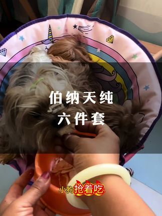 薅羊毛啦,伯纳天纯六件套!#宠物食品 #萌宠好物 #宠物零食 #狗零食 #家有馋狗