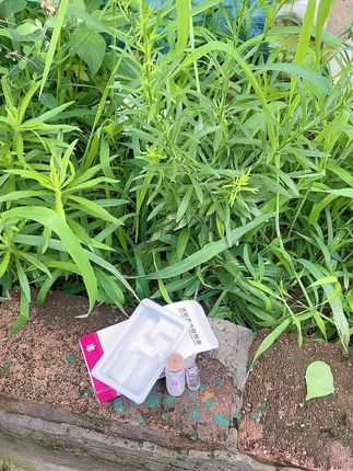 #养殖#养猪#三农#母猪