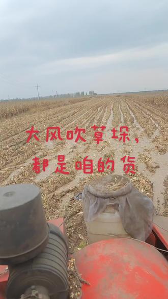 大风吹草垛都是咱的货。