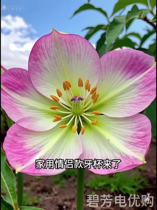 2025新款牙杯洗漱杯家用情侣刷牙杯子漱口杯加厚耐摔牙缸杯牙具杯#好物#好物推荐#好物分享