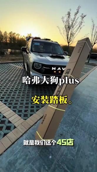 哈弗大狗踏板来了,铝合金材质,原车开模,无损安装,质感满满。#哈弗大狗#踏板#哈弗大狗踏板