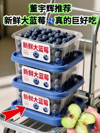 蓝莓界的“天花板”花香蓝莓终于来了!一口就沦陷的花香蓝莓,个大饱满,每一颗都圆滚滚的,像小宝石一样,饱满多汁,一口下去汁水瞬间在嘴里爆开,酸酸甜甜的,就像把整个春天的味道都含在了嘴里,直接吃或者拌酸奶都很绝,花青素满满,营养丰富,大人小孩都爱吃#新鲜应季水果#花香蓝莓#优质农产品#酸甜可口#新鲜采摘@抖加🔥上热门🔥dou+🔥热点宝