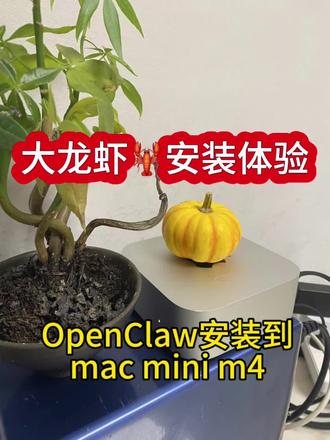 大龙虾安装体验
#户外活动 #macminim4 #OpenClaw
