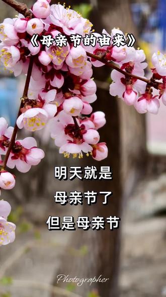 母亲节的由来💞