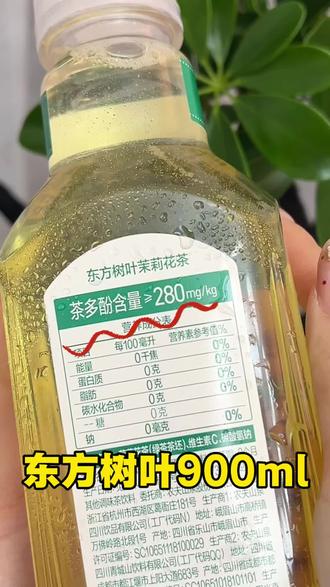 东方树叶900ml大羊毛!#夏天来一杯绝对清爽到爆 #夏日解腻特饮 #东方树叶 #饮料