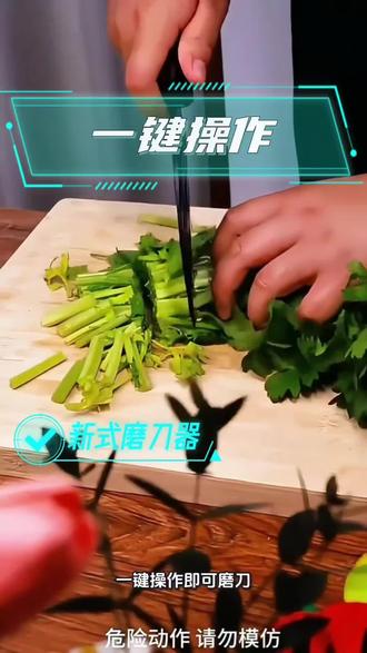 Royalstar/荣事达电动磨刀器家用小型磨刀机剪刀菜刀水果刀陶瓷刀#荣事达#电动磨刀器#小型磨刀机#家用磨刀器