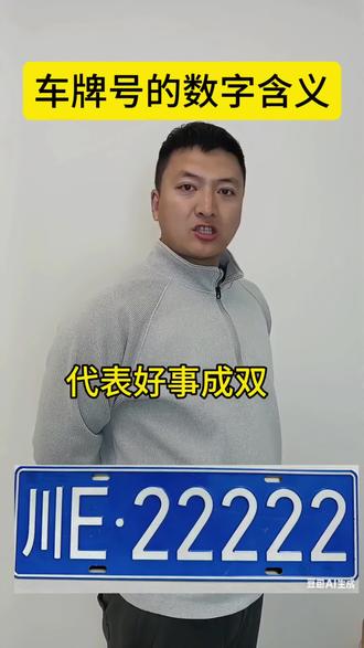 车牌号当中的数字含义#车牌选号 #车牌号 #买车避坑指南