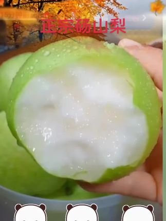 #正宗砀山梨 #脆甜多汁 #快来一起尝个鲜 #新鲜采摘 #营养丰富