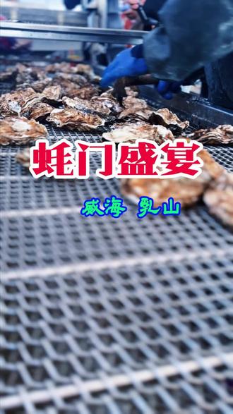 乳山牡蛎是山东威海乳山市的国家地理标志产品,被誉为“中国牡蛎之乡”的核心名片。其生长于北纬37°黄金海岸,170万亩国家一类海水养殖区,乳山河与黄垒河带来丰富营养盐,搭配年均13.5℃的冷温水域,让牡蛎生长周期达200多天,饵料富足。
采用全球首创的外海离岸浮筏吊笼养殖技术,乳山牡蛎个头大、肥满度高,肉质兼具“前脆后软”的独特口感,鲜甜浓郁。营养上堪称“海中牛奶”,每100克鲜肉含蛋白质10.5克、锌18.04毫克,牛磺酸含量是同类产品的2-3倍。
作为行业标杆,其养殖面积60万亩、年产量50万吨均居全国县级首位,品牌价值193.85亿元领跑全国牡蛎品类,线上主流平台占有率超70%,远销15个国家和地区,是兼具美味与营养的顶级海产。冬至来乳山,畅品乳山牡蛎#冬至乳山畅品牡蛎#吃乳山生蚝来银滩#威海市新媒体协会 #一起遇见威海