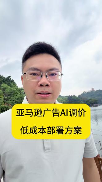 亚马逊广告AI调价低成本部署方案#亚马逊广告 #亚马逊运营 #跨境电商亚马逊