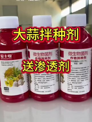 #农业黑科技 #大蒜高产秘籍 #微生物肥料 #丰收神器 #种植技巧