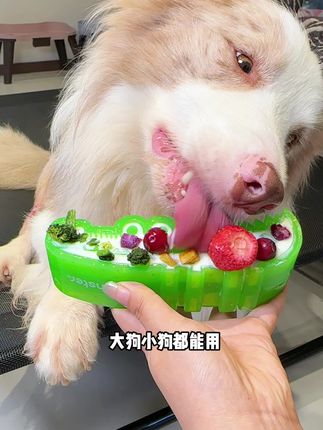 耐咬解闷儿的冰激淋鳄鱼来了,狗狗舔食冰冻酸奶非常解馋,而且可以快速降温!磨牙又消暑!#科学养宠攻略 #家有馋狗