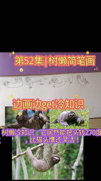 第52集|树懒简笔画#简笔画 #树懒 #亲子绘画 #治愈系手绘#真实生活分享计划#有趣的知识又增长了
