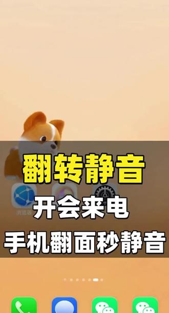 开会上课手机来电,翻面秒静音超省心📱 我之前开会的时候手机突然响了,手忙脚乱按音量键总按不准,尴尬到想找地缝钻。现在才发现翻个面就能直接静音,再也不会当众社死,大家可以试试。
#你的鸿蒙技巧 #手机使用技巧 #华为手机小技巧 #创作者中心 #创作灵感
