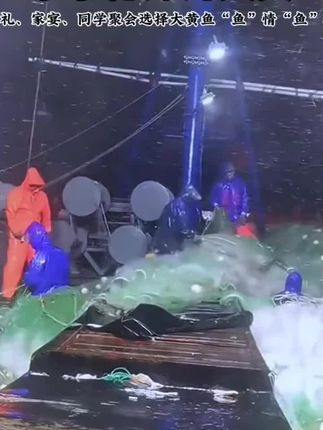 黄花鱼上市啦!宁德霞浦的海鲜爱好者们,你们的口福来啦!#黄花鱼# #海鲜美食猎奇 #美食推荐