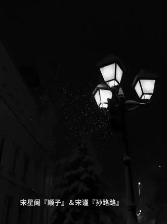 虽然不厚道,但是吵架是真带感啊
#广播剧一屋暗灯#宋星阑#宋谨#猫耳