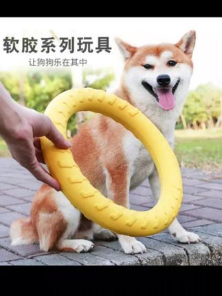 别人家的狗有的 我家的也得有!自从买回来这个圈 、他每天都这样开心 !#狗狗玩具 #狗狗开心的表现