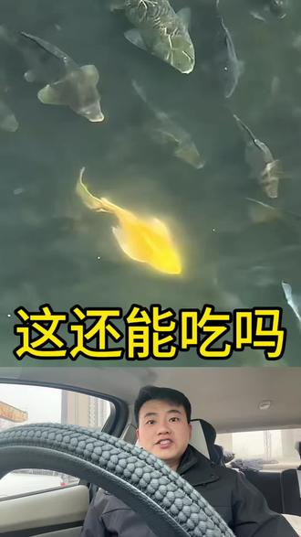 这些还能吃吗?#科普 #神奇动物在抖音 #日常 #讨论 #知识
