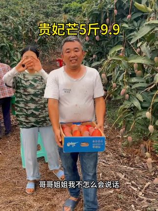 #贵妃芒 #贵妃芒 #芒果