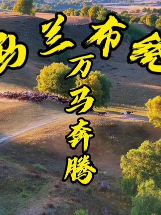 各种角度的跑马,都欣赏一下吧。#玩转乌兰布统罕特 #万马奔腾