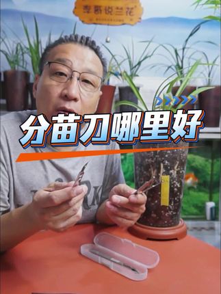 优质分苗刀 #知识分享 #养花小知识 #家庭种植 #园艺