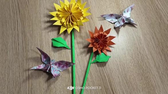 向日葵花手工折纸分享。愿每一次考试都一举夺魁。#晒出你们的diy #手工diy作品大赏 #