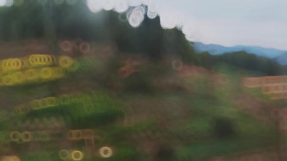 我要回城市当牛马了,再见了我美丽的家
乡,我要回城市当牛马了。
#大山 #山区 #路途 #山村美景 #翻山越岭