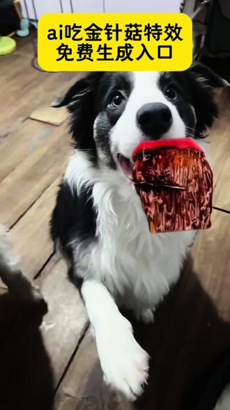 吃金针菇特效教程 手机制作保姆级 一键同款
吃金针菇特效
吃金针菇
吃西兰花特效
吃掉蘑菇特效
吃火腿肠的特效
吃吃蔬菜特效
吃菌特效
吃蘑菇产生的特效
金针菇吃东西特效
吃金针菇声控特效
吃金针菇声控
吃金针菇声控只露嘴巴
吃金针菇声控爆辣
吃金针菇声控视频
吃金针菇爆辣
吃金针菇素材
吃金针菇讲恐怖故事
吃金针菇p图素材
吃金针菇表情包
吃金针菇p图模板
吃金针菇p图
吃金针菇p图绿幕素材
吃金针菇p图怎么剪
吃金针菇绿幕
吃金针菇p图视频
吃播沉浸式声控
吃播视频
吃播沉浸式
吃播沉浸式爆辣
吃播
吃播沉浸式九宫格
吃播沉浸式甜品
吃播海鲜
吃播美食
吃播沉浸式海鲜
动物吃播ai
动物吃播视频怎么做
动物吃播
动物世界
动物吃播音乐
动物跳舞
动物吃播ai视频怎么做
动物吃东西
动物吃饭
动物搞笑视频
金针菇特效玩法
金针菇特效
金针菇嘴部抠图特效
金针菇特效吃金针菇
金针菇特效怎么弄
金针特效
金针菇对嘴特效
爆辣金针菇特效
金针菇自来水特效
吃金针菇特效教程
吃金针菇特效多人
吃金针菇特效弄不上
吃金针菇特效剪映
吃东西特效
#吃金针菇特效 #吃播沉浸式 #动物吃播ai #金针菇特效教程 #剪映