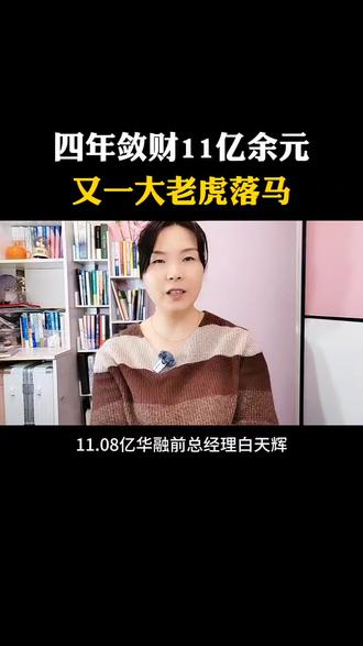 四年敛财11.08亿,又一大老虎落马白天辉#白天辉#抖加小助手