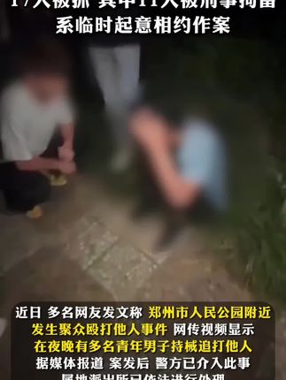 这就是独属于中国文化的魅力五千年的汉字外国人理解不了 #古诗词的魅力 #传统文化 #当白话遇见古诗文,“郑州人民公园打人事件”续:17人被抓,系临时起意相约作案