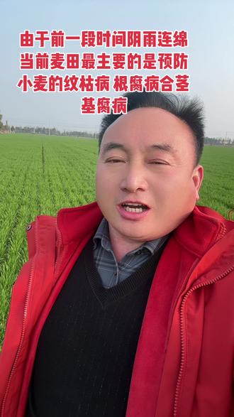 #农业种植 #服务三农 #田间地头走一走 #农村麦地
当前小麦最主要是预防小麦的根腐病 纹枯病 和茎基腐病,选用药剂 噻呋酰胺 甲霜噁霜灵 吡唑醚菌酯
均匀喷施一遍。为今年的小麦高产丰收奠定坚实的基础