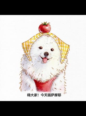 今天画萨摩耶它好像知道自己很可爱耶,看看你家的小宠物吗欢迎投稿#萌宠 #绘画 #狗狗 #治愈系萌宠 #procreate绘画