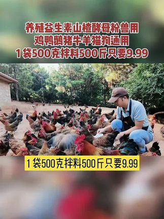 #养殖 #养鸡 #农村散养土鸡 #鸡鸭鹅养殖 #益生素山楂酵母粉 有机养殖益生素山楂酵母粉兽用