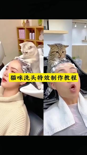 猫咪洗头特效制作教程来啦!#即梦ai 猫咪洗头特效制作 猫咪洗头ai特效 猫咪洗头ai制作 猫咪洗头ai剪映同款 一键生成ai猫咪 猫咪洗头ai同款特效 猫咪ai特效生成 ai萌宠洗头 猫咪发型微乱ai教程 小猫给人洗头的视频怎么做 ai小猫洗头视频制作教程来了,ai小猫洗头,ai猫咪洗头,ai猫咪给主人洗头,猫咪洗头ai,猫师傅ai,猫咪洗头发,猫咪洗头教程,猫咪洗头视频,猫咪洗发水ai,动物洗头ai,猫咪打工ai,猫咪打工ai怎么生成的,不要让猫拍这些,猫咪理发师ai,猫师傅ai剪发,宠物ai剪头发,猫师傅ai特效,猫师傅ai教学剪头发,猫咪给客人洗头发ai,宠物ai,猫咪给主人洗头发视频怎么制作#ai小猫洗头 #小猫洗头ai特效教程 #宠物给主人洗头特效教程 #宠物给客人洗头特效教程