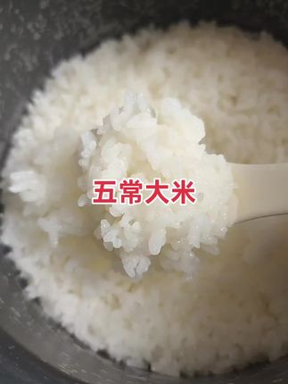 #五常大米 又糯又香,太好吃啦!#好物分享!