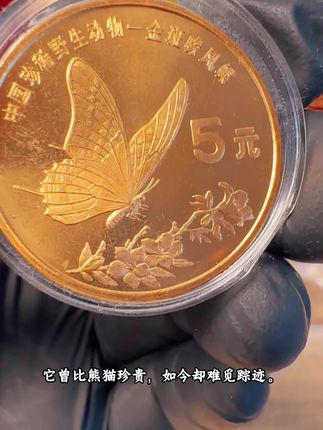 当“蝶中仙子”濒危的故事遇上年纪的感悟,为何说这是此生必收珍品#蝴蝶 #收藏钱币 #纪念币 #老钱币 #硬币收藏