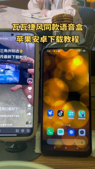 瓦瓦同款语音盒苹果安卓下载教程《柳树宝库》