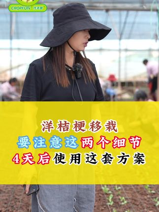 洋桔梗移栽要注意的小细节!四天后就可以使用这套方案啦!#来抖音学农技 #通海黄孃孃 #作丰客黄孃孃 #生根肥落地生根 #AM3