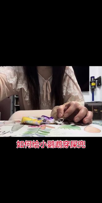 穿屎兜教程 #养育鹦鹉的小技巧 #小鸟也知道自己很可爱吧 #屎兜 #屎兜教程 #我和我的鹦鹉