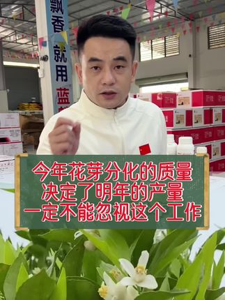 今年花芽分化的质量,决定了明年的产量,这个工作一定不能忽视,做好了花芽分化的工作,明年产量才会更高,才能减少大小年的发生
