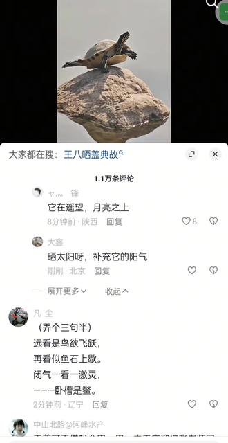 龟练瑜伽,你见过吗?