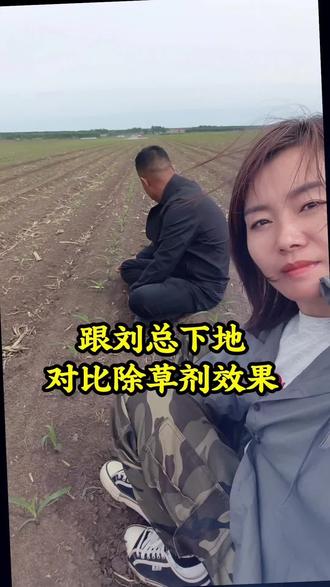 #玉米苗后除草剂#刘辉 @,大虫儿,刘辉