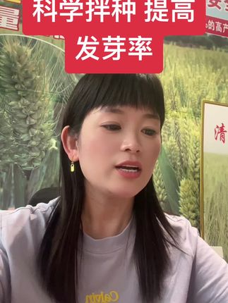 科学拌种提高发芽 #三农#抖音助农#农民种地不容易 #小麦