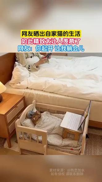 救命!这猫的生活比我精致!🤯 笔记本配平板追剧,条纹小窝睡得香~😼 网友:你起开让我躺会儿!#上热门这生活#围观群众#猫咪#强烈推荐#